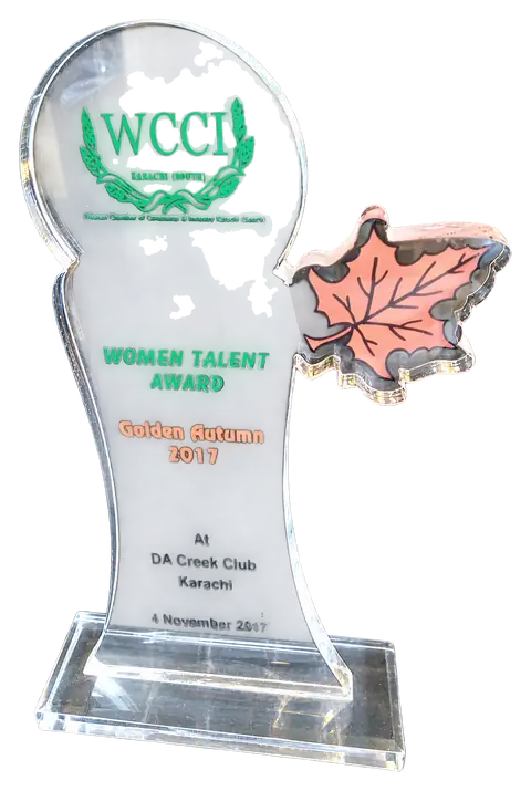 WCCI Karachi (South): Acrylic award
